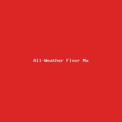 All-Weather Floor Mats